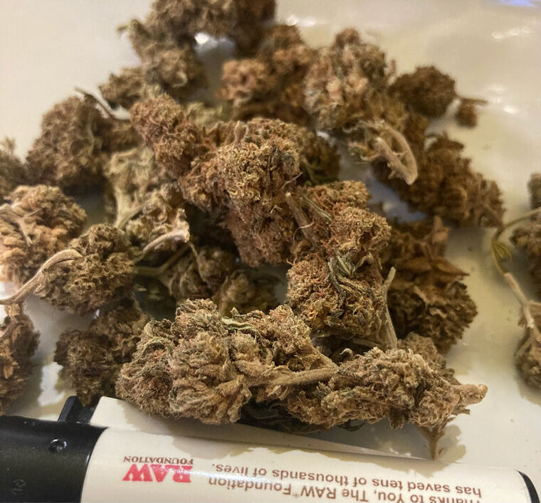 BZ1 50 Gramos CBD