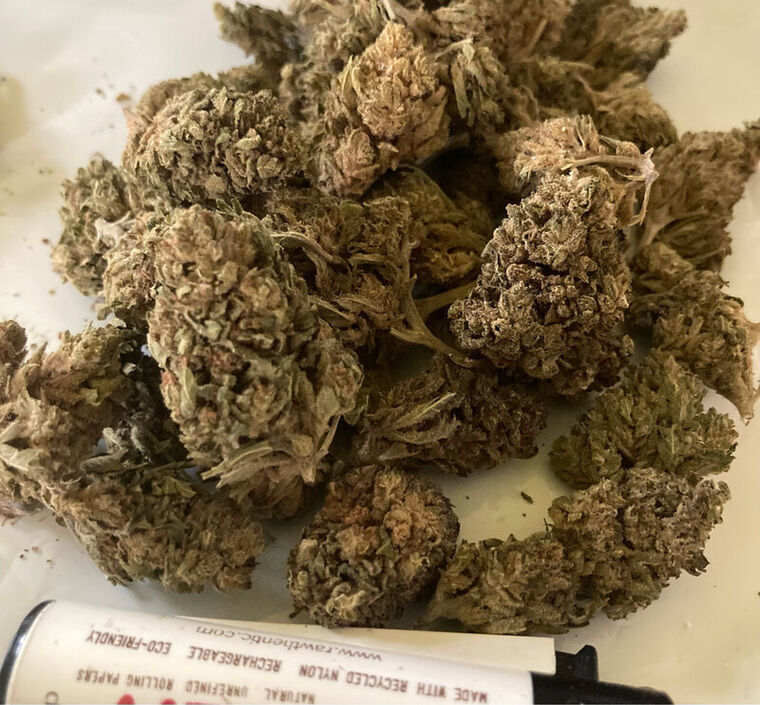 Cheese 🧀 50 Gramos CBD