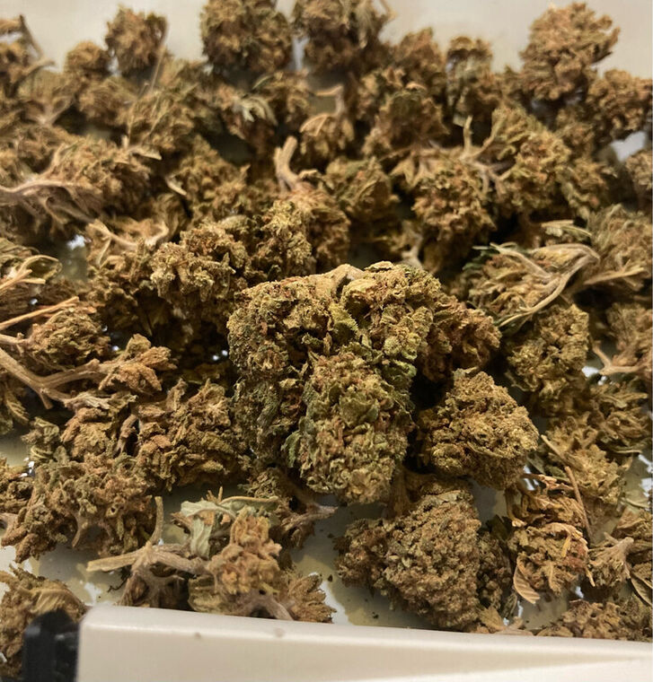 Rainbow 🌈 50 Gramos CBD