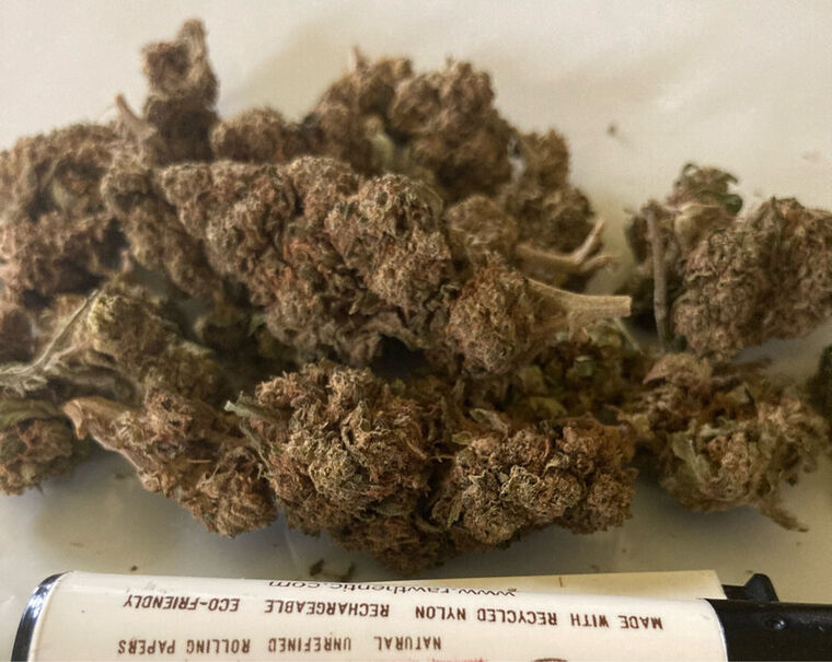 Gelato 🍧 50 Gramos CBD