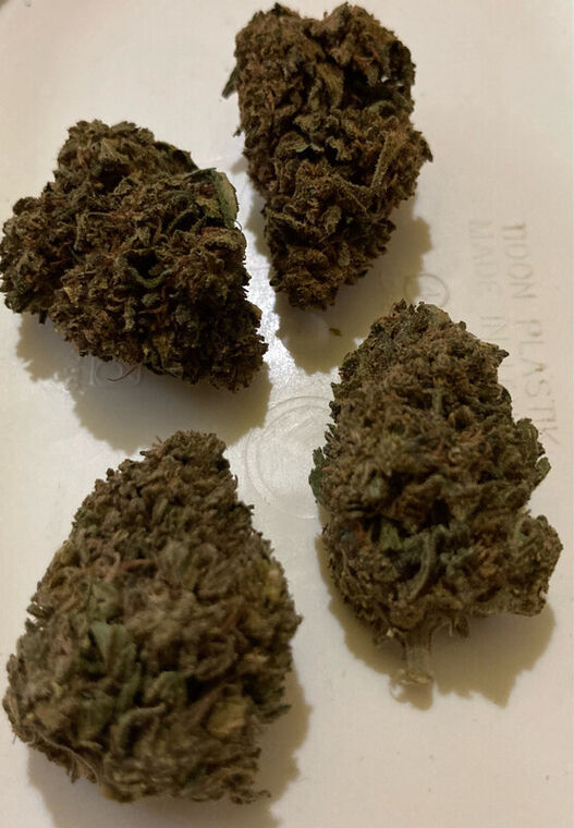 BUDHA BERRY CBD