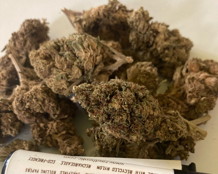 Blueberry 🫐 50 Gramos CBD